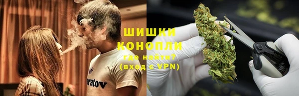 прущие крисы Сураж
