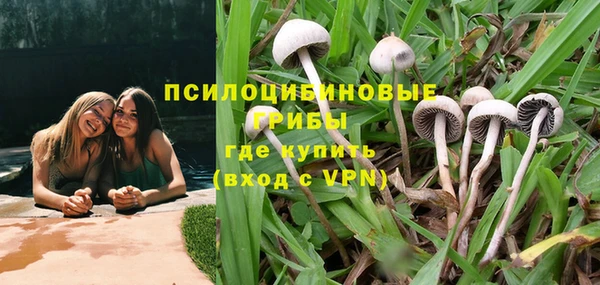 MESCALINE Гатчина