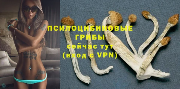 прущие крисы Сураж