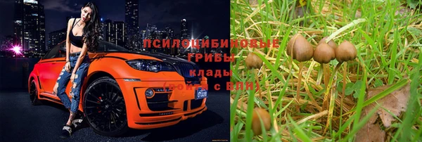 бутират Гвардейск