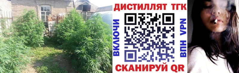 где можно купить   Иннополис  ТГК жижа 