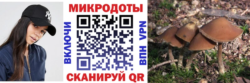 где купить наркоту  Иннополис  kraken зеркало  мориарти состав  Псилоцибиновые грибы мицелий 